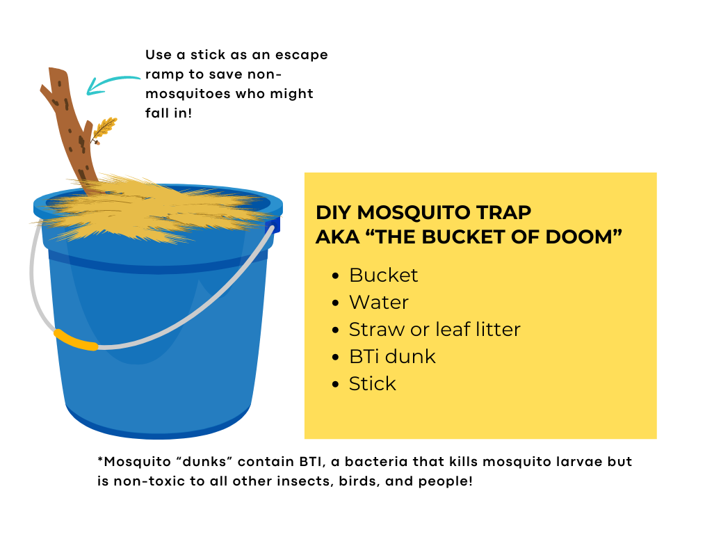 EXPLAINER SERIES 9 TICKS MOSQUITOES