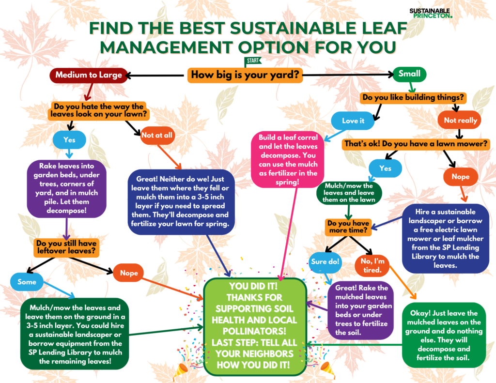 Sustainable Leaf Management – Sustainable Princeton